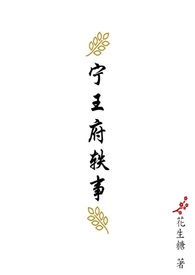 宁王府剧情